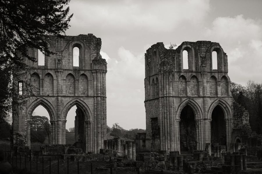 Photo de William Sutherland: https://www.pexels.com/fr-fr/photo/noir-et-blanc-arbre-eglise-monument-11913121/