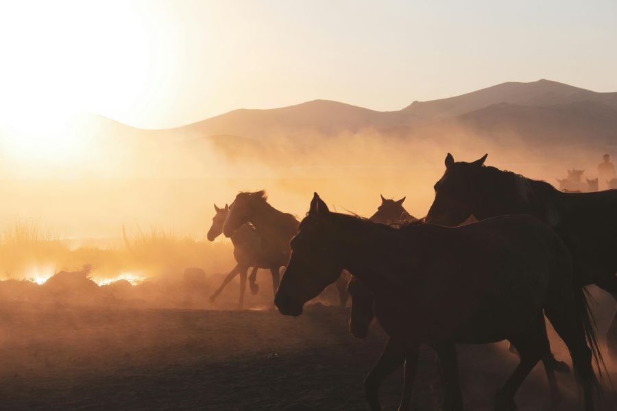 Photo de Ferya: https://www.pexels.com/fr-fr/photo/paysage-montagnes-nature-soleil-couchant-27878335/